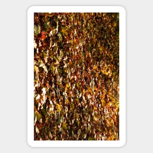 Autumn Leaves Fallen On To Forest Surface Sticker